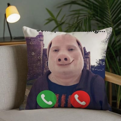 Housse de coussin John Pork Is Calling Housse de coussin carrée Impression recto-verso Peluche courte Coussin de canapé Housse de coussin de chevet de chambre à coucher 30x30cm