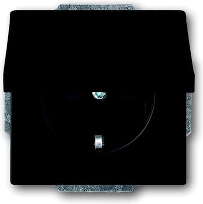 ABB Busch-Jaeger Future Wandcontactdoos (WCD-Schakelmateriaal) - 2CKA002018A1495 - E2Q9V