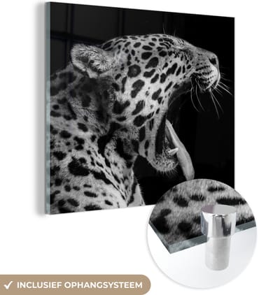MuchoWow® Glasschilderij 50x50 cm - Schilderij acrylglas - Jaguar - Dier - Zwart - Wit - Foto op glas - Schilderijen