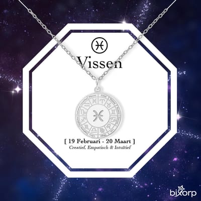Bixorp Stars Sterrenbeeld Ketting Vissen / Pisces - Stainless Steel Medailon Zilverkleurig - 45cm Ketting met Zodiac Hanger - Inclusief Cadeau Verpakking