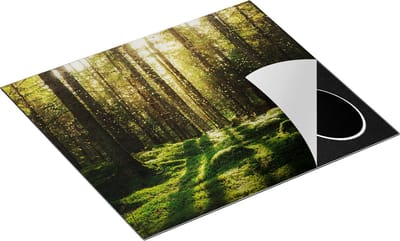 Chefcare Inductie Beschermer Bos met Groen Mos op de Grond - 60x50 cm - Afdekplaat Inductie - Kookplaat Beschermer - Inductie Mat