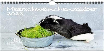 Betoverende Cavia Kalender 2023 DIN A4 - Schattige Dierenfoto's