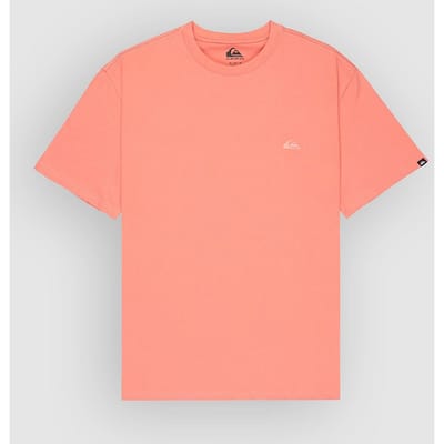 Quiksilver Salt Water T-Shirt