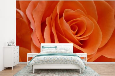 Behang - Fotobehang Roos - Bloemen - Oranje - Breedte 400 cm x hoogte 300 cm