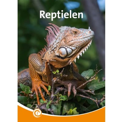 Reptielen - Informatie - Bo Buijs