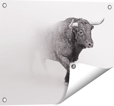 Gards Tuinposter Stier op een Grijze Achtergrond - Zwart Wit - 50x40 cm - Tuindoek - Tuindecoratie - Wanddecoratie buiten - Tuinschilderij