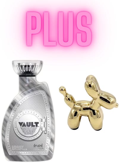 Devoted Creations Vault 400 ml PLUS Ballon Hond Goud 14x16 cm