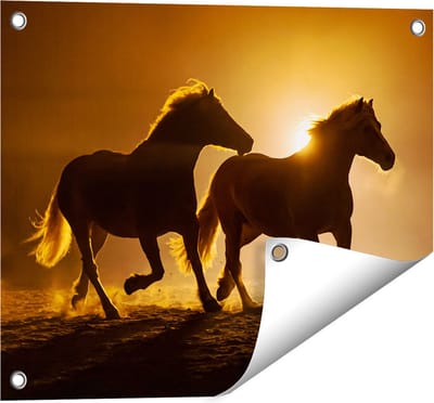 Gards Tuinposter Silhouet van Twee Paarden - 50x40 cm - Tuindoek - Tuindecoratie - Wanddecoratie buiten - Tuinschilderij