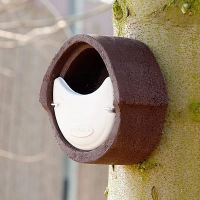 CJ Wildlife Nestkast - Aanbevolen door de Vogelbescherming Nederland - Alicante - Nestkastje voor o.a. Roodborst, Zanglijster & Winterkoning - Woodstone Vogelhuisje - FSC-gecertificeerd - Bruin