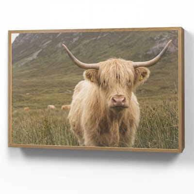 Wandlamp 100x70 cm - Oplaadbaar - Schotse hooglander - Bergen - Grasveld - Wandlampen binnen woonkamer - Slaapkamer lamp - Decoratieve nachtlamp - Vloerlamp draadloos