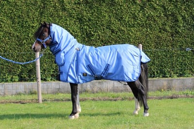 MHS Winterdeken Roza 400 gram vaste hals 165/205 cm Lichtblauw