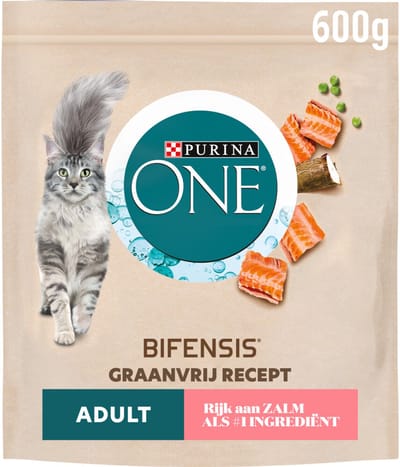 Purina ONE Kattenvoer Droog Adult Zalm Graanvrij - 600 gr