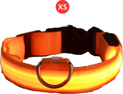 Nivard Lichtgevende Halsband - Verlichte Halsband - Lichtgevend - Hond - Kat - Lampje - Hondenhalsband Led - Nekband - Oranje XS