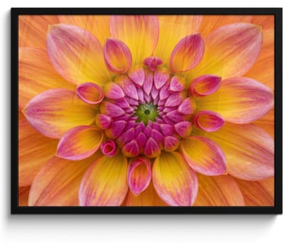 Poster in lijst - Fotolijst 80x60 cm - Posters - Dahlia - Bloem - Oranje - Posterlijst zwart - Decoratie - Wanddecoratie woonkamer - Muurdecoratie slaapkamer