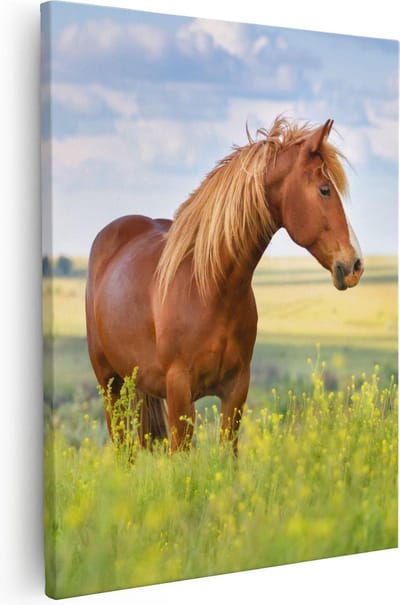 Artaza Canvas Schilderij Paard - 80x100 cm - Groot - Wanddecoratie Paarden - Muurdecoratie Natuur - Schilderijen Op Canvas Woonkamer