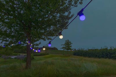 HappyLights lichtsnoer buiten [Outdoor] Cool Blue - 10 LED's - 5m