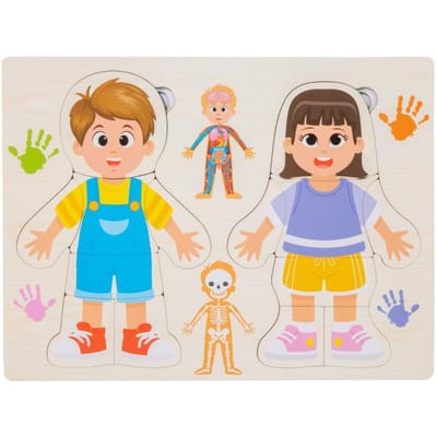 Haute Qualité Enfant Haute Qualité Humain Haute Qualité Corps Haute Qualité Structure Haute Qualité Puzzle Haute Qualité Jouet Haute Qualité Montessori