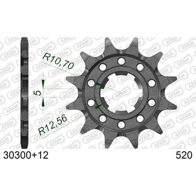 Stalen motortandwiel voor Afam 520 12 dents