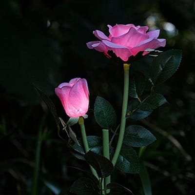 Roze Rozen Tuinverlichting op Zonne-energie - Waterdichte Decoratieve Buitenlampen
