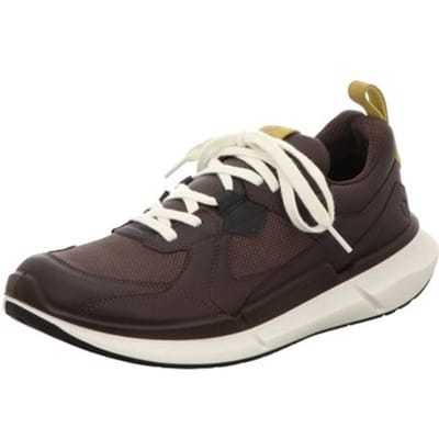 Nette Schoenen Ecco -