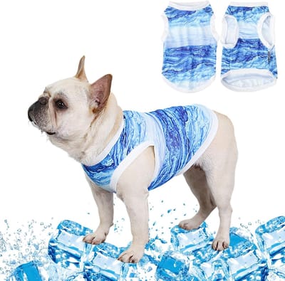 SnelShoppen - Koelvest voor honden - Ademend hondenkoelvest voor zomer - Cool en comfortabel hondenjas voor kleine tot middelgrote honden - Ideaal voo