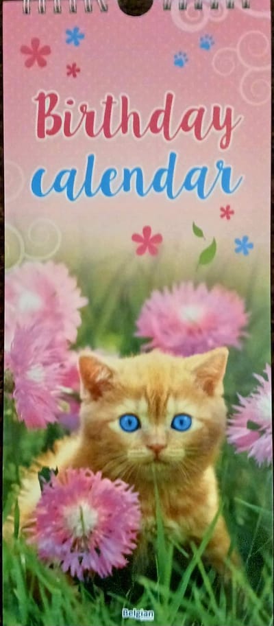 Katten/Cats -Verjaardags kalender -Nederlandse & Engelse tekst - Met afknipbare verjaardagskaart kaarten -81CAL58- Gratis verzonden