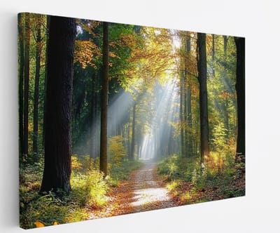 Saammp Canvas Schilderij - Botanisch - Bospad - Herfstachtig - Landschap - Natuur - 45x30 - Foto op canvas - Wanddecoratie - Muurdecoratie Woonkamer - Slaapkamer decoratie - Canvas Print