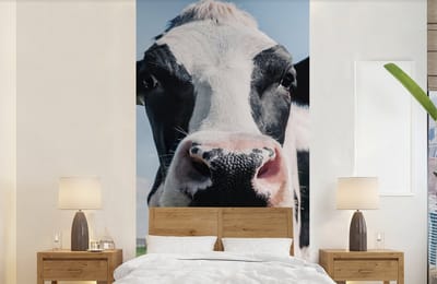 Behang - Fotobehang Koe - Weiland - Natuur - Dieren - Gras - Breedte 120 cm x hoogte 240 cm