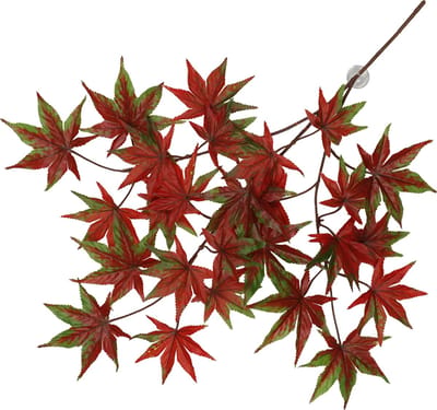 Terra Della - Terrariumplant - Reptielen - Hangende Cannabis 65x40x5cm Rood - 1st