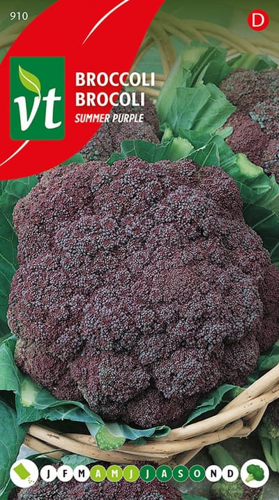 Broccoli Summer Purple zaden - Paarse broccoli voor een unieke oogst