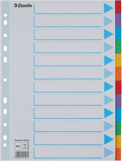 Esselte - Tabbladen A4 11R karton 12-delig met voorblad | 10 stuks
