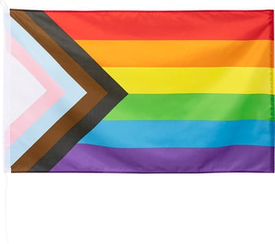 Polyester vlag Progress LGBTQ+ Pride.