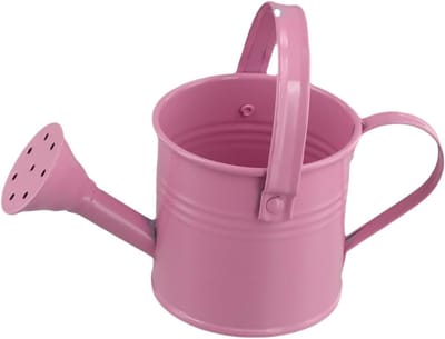 Metalen gieter - Plantenverzorging Waterkan - Planten water geven - Nauwkeurige lange uitloop - 15 x 10 x 5 cm