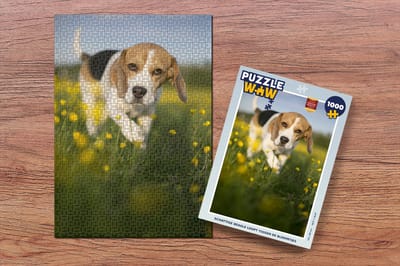 Puzzel Schattige Beagle loopt tussen de bloemetjes - Legpuzzel - Puzzel 1000 stukjes volwassenen