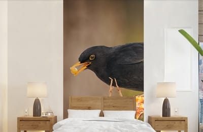 Behang - Fotobehang Vogel - Merel - Winter - IJs - Bes - Breedte 120 cm x hoogte 240 cm