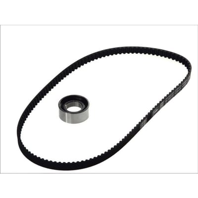 Distributieriemset (riem + poelie) SKF VKMA 02210
