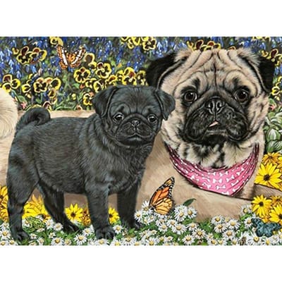 Peinture diamant 5D  Joli chien carlin dans le jardin , broderie complète en mosaïque de diamant 20X30CM gray