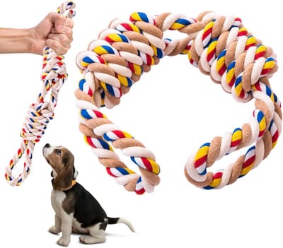 Gepersonaliseerde kattenhalsbanden - Set van 2 - Suède halsband - Klokhalsband - Geschikt voor katten en kleine honden