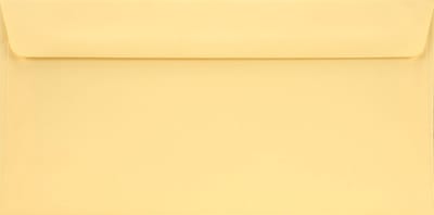 Gladde crème enveloppen A4 - 110 x 220 mm - 25 stuks - HK zelfklevend met plakstrip - 90 gram - Burano - Netuno