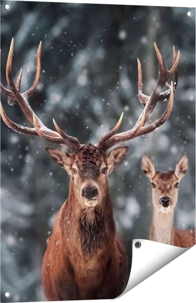Gards Tuinposter Twee Herten met Sneeuw - 60x80 cm - Tuindoek - Tuindecoratie - Wanddecoratie buiten - Tuinschilderij