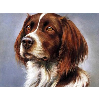 5D diamant schilderij volledige boor hond kristal schilderij diamant borduurwerk dier herdershond foto 20X30CM black
