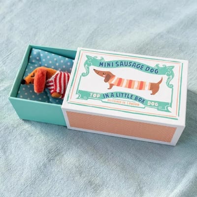 Pluche worst in een kleine kinderbox Rex London