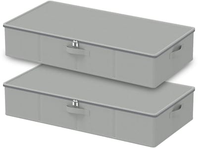 Dailygoods- Onderbedcommode Ruimtebesparend - Opbergdoos met Deksel - Set van 2 - 80 x 40 x 15 cm - Duurzaam - Robuust en Schokbestendig
