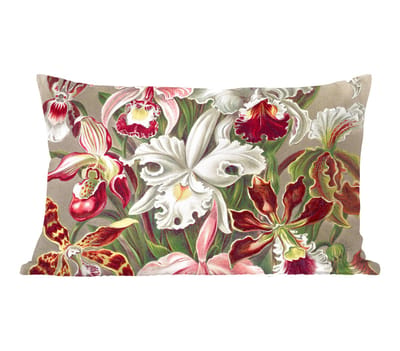 Sierkussens - Kussentjes Woonkamer - 50x30 cm - Bloemen - Ernst Haeckel - Vintage - Orchidee