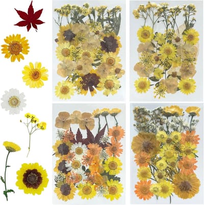 137 Pcs Natuurlijke Gedroogde Bloemen en Bladeren voor Resin, Scrapbooking en Sieraden Maken