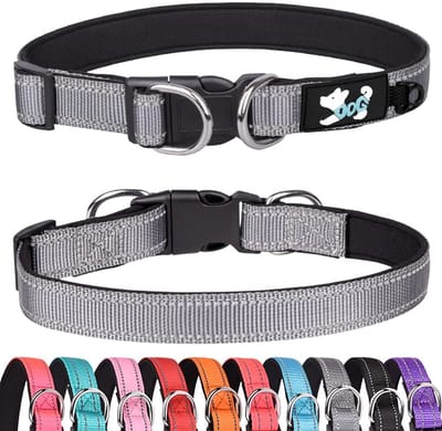 Allecto - Gewatteerde halsband - Reflecterende halsbanden - Comfortabel en zacht - Grijs - Verstelbare hondenhalsband - Geschikt voor kleine middel...