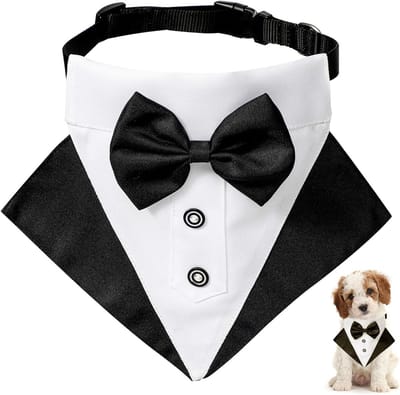 Stunq® Elegant Honden Accessoires voor Formele Gelegenheden - Bandana en Strik Set