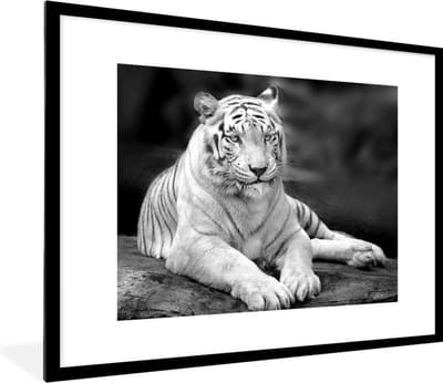 Fotolijst incl. Poster - Tijger - Boom - Wit - Zwart - 80x60 cm - Posterlijst