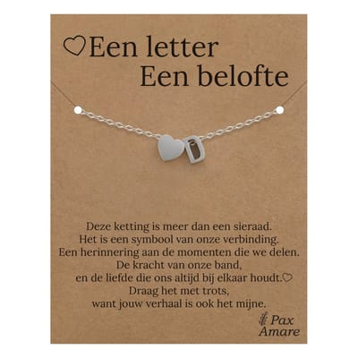 Letter D Armband op Cadeau Kaartje - Een letter, een belofte - 15,5cm + 5,5cm verstelbaar Zilverkleurig Stainless Steel - Initiaal & Hartje Hanger - Pax Amare