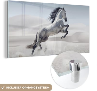 MuchoWow® Glasschilderij 120x60 cm - Schilderij acrylglas - Paard - Dieren - Zand - Natuur - Foto op glas - Schilderijen
